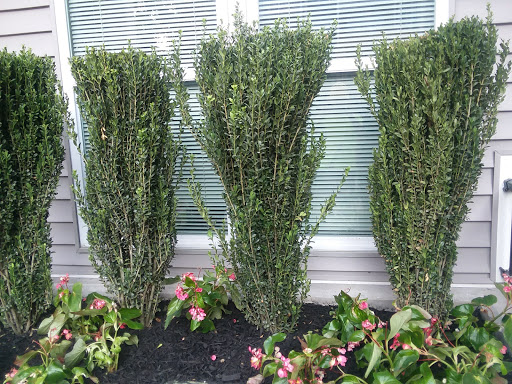 Hardware Store «Do it Best Hardware of Wayne», reviews and photos, 143 Pennsylvania Ave, Wayne, PA 19087, USA