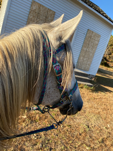 Store «Country Pet Farm & Garden Ltd», reviews and photos, 26170 Territorial Rd, Rogers, MN 55374, USA