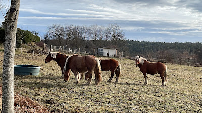 LE 46 allotjament à Saint-Sauveur-la-Sagne