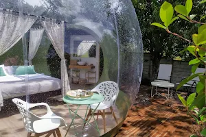 Remanso de Trasfontao "Casa das Árbores & Bubble" image
