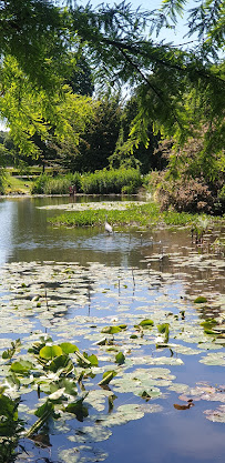 Parc Bagatelle - la Roseraie du Restaurant gastronomique La Grande Cascade à Paris - n°7