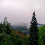 Photo n°4 de l'avis de Sabine.h fait le 10/10/2023 à 10:06 sur le  Aktivhotel Inselsberg à Bad Tabarz