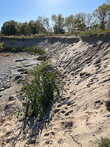 Nature Preserve «Kenosha Sand Dunes», reviews and photos, 7th Ave, Pleasant Prairie, WI 53158, USA