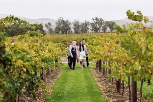 LI Wine Tastings - photo 11