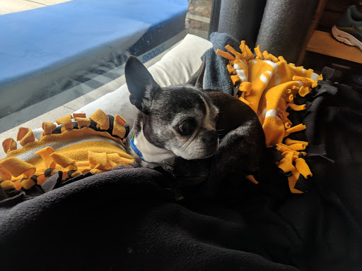 Running Store «Milestone Running Shop», reviews and photos, 2545 El Cajon Blvd Suite D, San Diego, CA 92104, USA