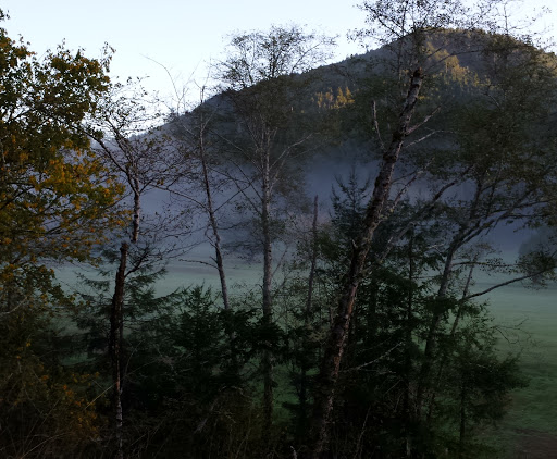 Golf Course «Cedar Bend Golf Course», reviews and photos, 34391 Cedar Valley Dr, Gold Beach, OR 97444, USA