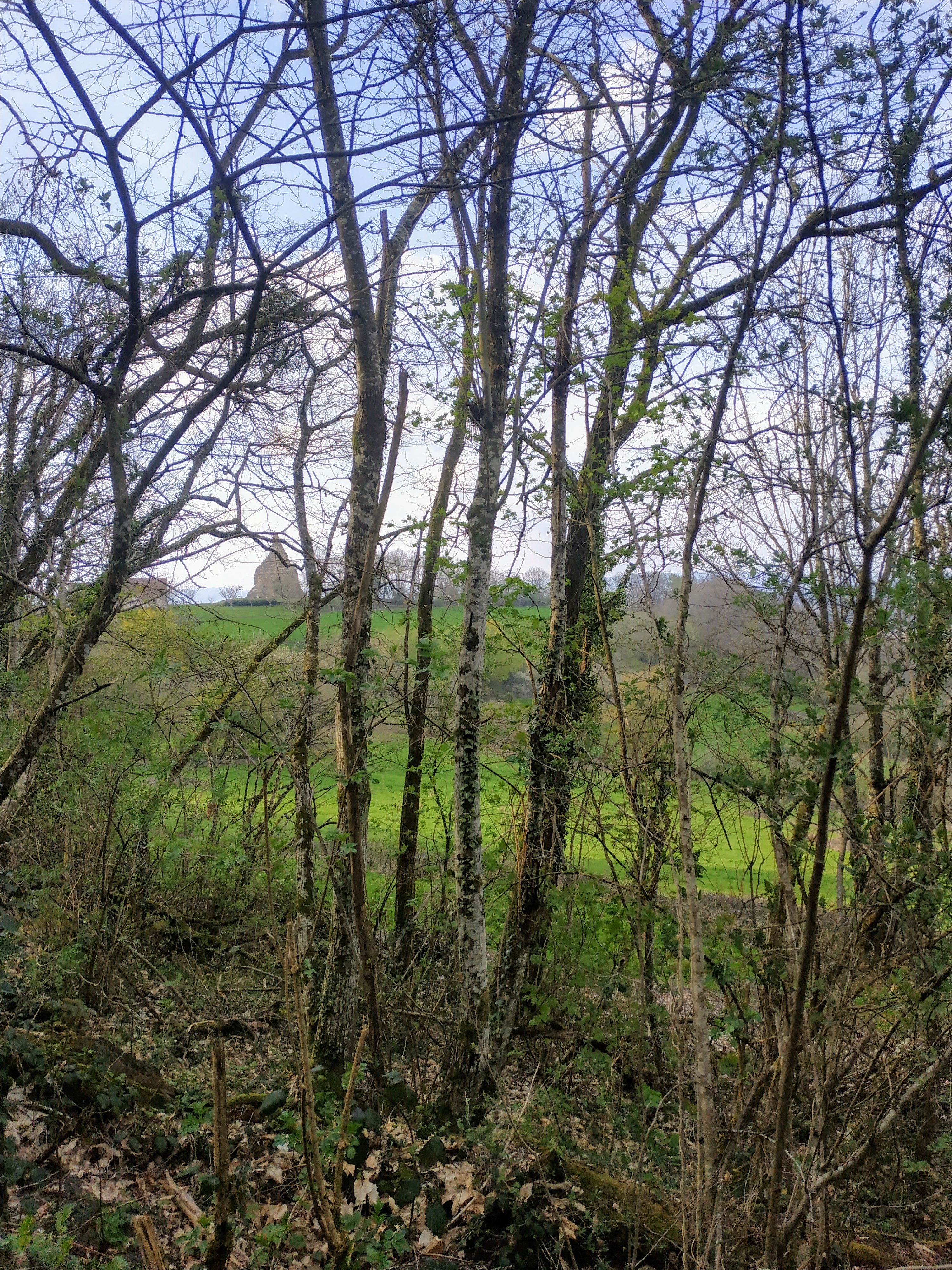 Photo n° 3 de l'avis de Julie.i fait le 11/04/2019 à 15:48