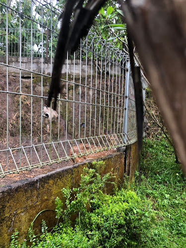 10 Tempat Acara Menarik di Kabupaten Sleman, Jogja Exotarium Pintu Timur Termasuk