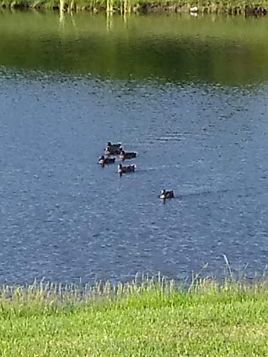 Park «Central Park», reviews and photos, 2960 Esplanade, Grand Prairie, TX 75052, USA