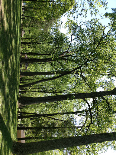Tourist Attraction «Wheaton Miniature Train», reviews and photos, 2002 Shorefield Rd, Wheaton, MD 20902, USA