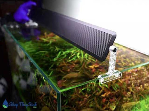 Top 20 cửa hàng kim yến Quận Ba Đình Hà Nội 2022