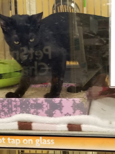 Pet Supply Store «PetSmart», reviews and photos, 6251 N Davis Hwy, Pensacola, FL 32504, USA