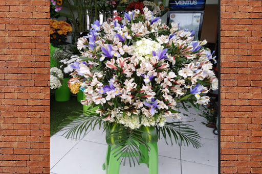 FLORERIA EN SAN BORJA