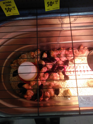 Animal Feed Store «Wilco Farm Store», reviews and photos, 664 W Baseline St, Cornelius, OR 97113, USA