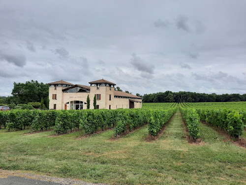Vignoble des Verdots à Conne-de-Labarde