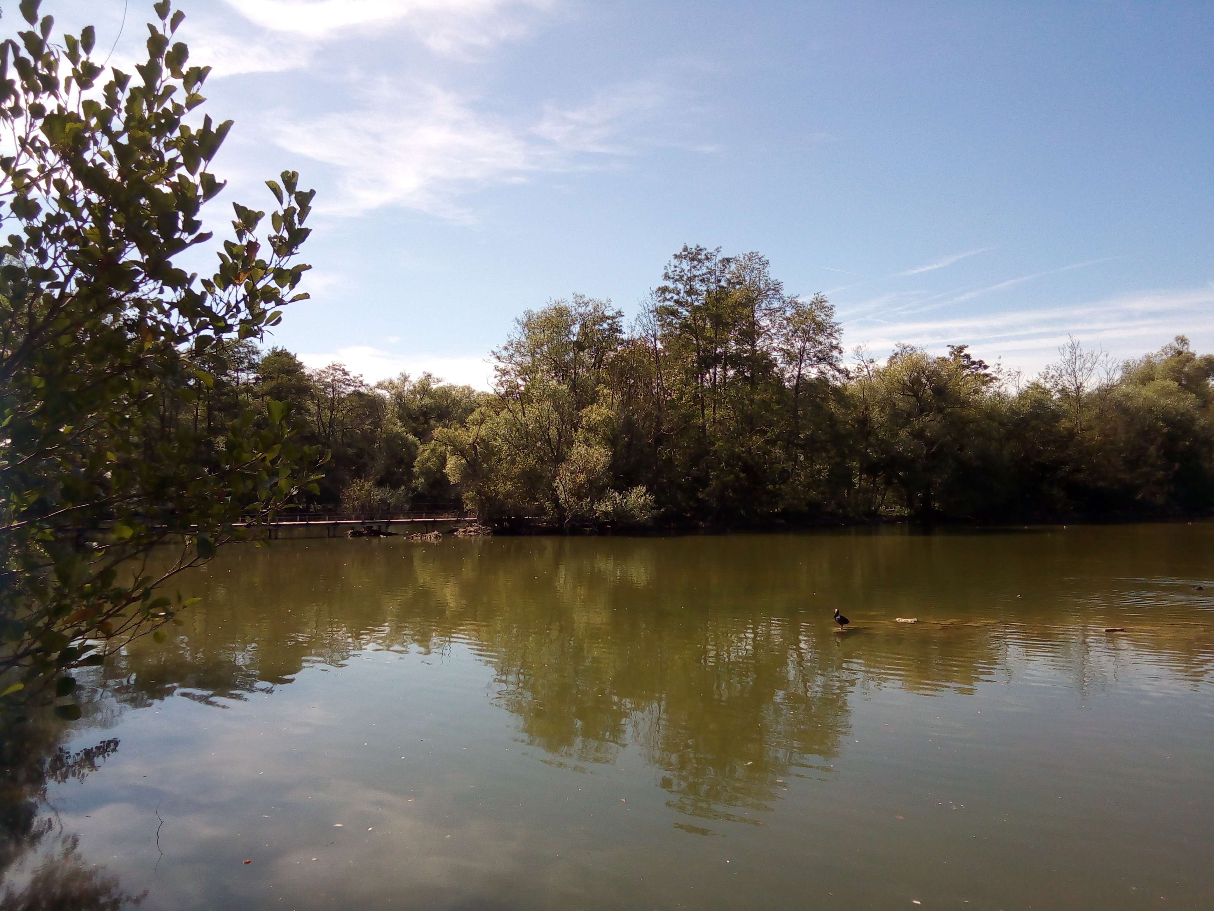 Photo n° 9 de l'avis de Angy.u fait le 30/08/2019 à 15:26
