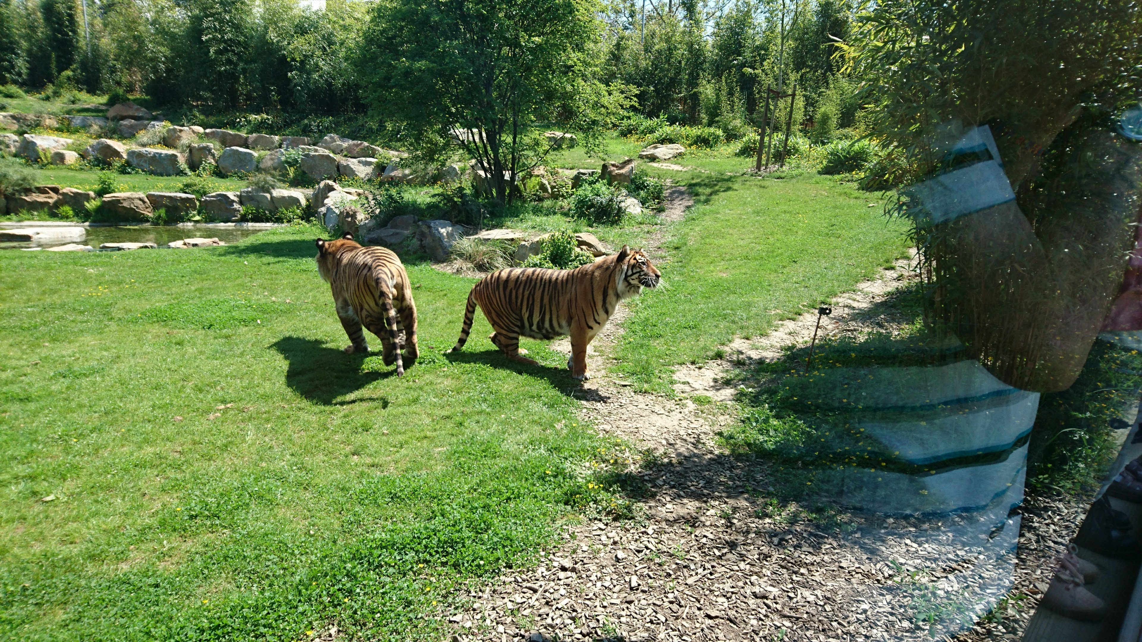 Photo n° 24 de l'avis de Pascale.o fait le 22/05/2019 à 18:23