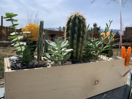 Florist «The Florist at Moana Nursery», reviews and photos, 1110 W Moana Ln, Reno, NV 89509, USA