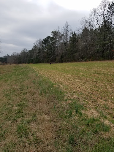 Auto Repair Shop «Pittman Automotive», reviews and photos, 2275 Braselton Hwy, Buford, GA 30519, USA