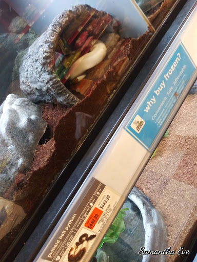 Pet Supply Store «Petco Animal Supplies», reviews and photos, 48 Watertower Plaza, Leominster, MA 01453, USA