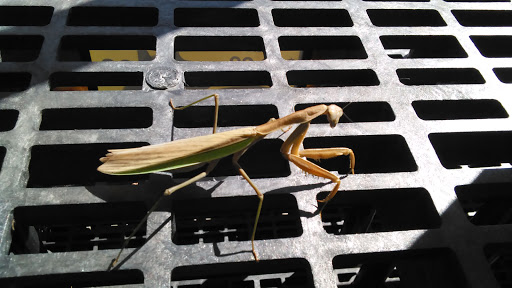 Grocery Store «Kroger», reviews and photos, 1980 Rio Hill Center, Charlottesville, VA 22901, USA