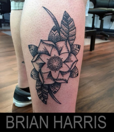 Tattoo Shop «Phoenix Tattoo Studio», reviews and photos, 1215 Hillsborough St, Raleigh, NC 27603, USA