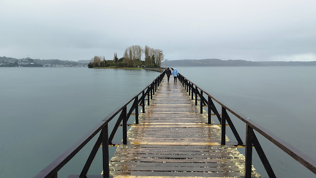 Isla Aucar - Ancud