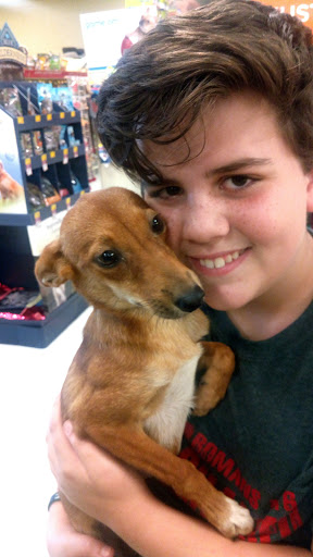 Pet Supply Store «PetSmart», reviews and photos, 5890 Trussville Crossings Pkwy, Birmingham, AL 35235, USA