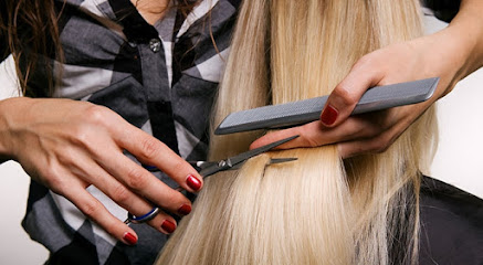 Klippegården (Parykker - Striber - Hårfarve - Dameklip)