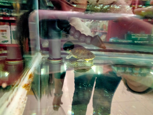 Pet Supply Store «Petco Animal Supplies», reviews and photos, 200 Center Blvd S, Christiana, DE 19702, USA