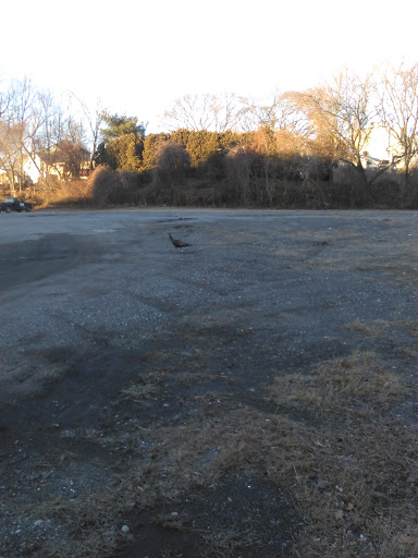 Thrift Store «Frugal Franks», reviews and photos, 126 Shove St, Fall River, MA 02724, USA