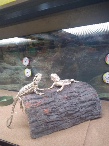 Pet Supply Store «Petco Animal Supplies», reviews and photos, 103 Commerce Way a, Woburn, MA 01801, USA