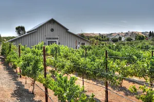 Cuda Ridge Wines image