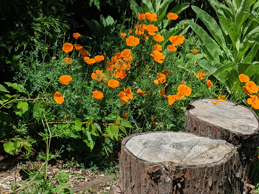 Tourist Attraction «NatureScaping Wildlife Botanical Gardens», reviews and photos, 11000 NE 149th St, Brush Prairie, WA 98606, USA