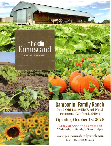 The Farmstand at Gambonini Family Ranch