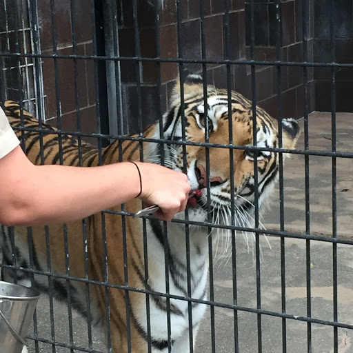 Foundation «The Henry Doorly Zoo», reviews and photos, 3701 S 10th St, Omaha, NE 68107, USA