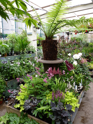 Reviews of N1 Garden Centre in London - Landscaper
