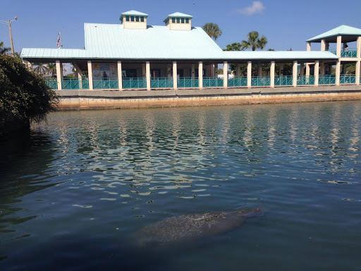 Environmental Protection Organization «Manatee Observation and Education Center», reviews and photos, 480 N Indian River Dr, Fort Pierce, FL 34950, USA