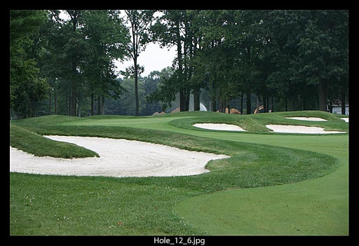 Golf Club «Garrisons Lake Golf Club», reviews and photos, 101 W Fairways Cir, Smyrna, DE 19977, USA