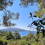 Photo n°1 de l'avis de Alessandra.e fait le 31/07/2022 à 13:20 sur le  IL CHIOSCHETTO à Capoliveri