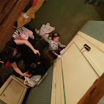 Photo n°2 de l'avis de Papai.a fait le 16/01/2019 à 22:35 sur le  Residenza Laguna à Venice