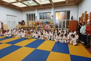Goshin-Ryu Karate Club image