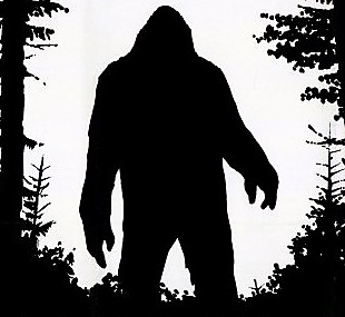 Pet Cemetery «All-Tenn Pet & Horse Cremations», reviews and photos, 2106 Ritter Rd, La Vergne, TN 37086, USA