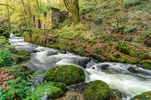 Kennall Vale Nature Reserve image