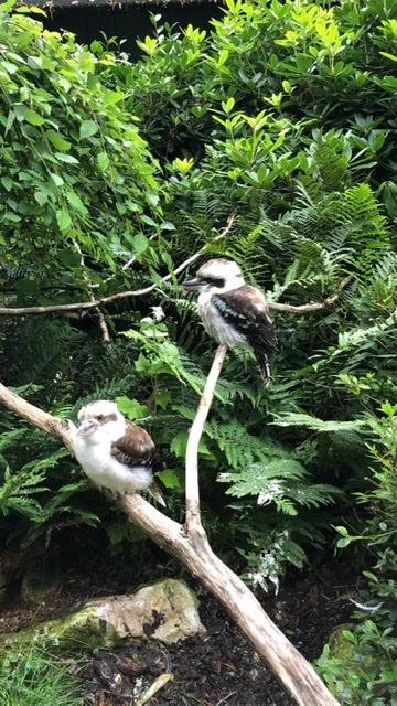 Photo n° 8 de l'avis de Caroline.e fait le 20/08/2021 à 15:40