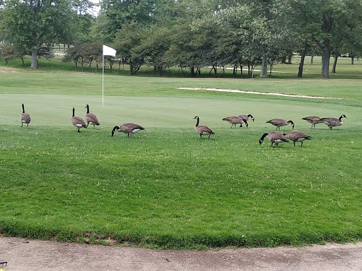 Golf Course «Highland Park Golf Course», reviews and photos, 3550 Green Rd, Highland Hills, OH 44122, USA