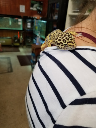 Pet Supply Store «Pet Bazaar», reviews and photos, 490 FL-436, Casselberry, FL 32707, USA