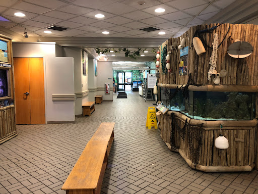 Zoo «Buttonwood Park Zoo», reviews and photos, 425 Hawthorn St, New Bedford, MA 02740, USA