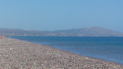Megali Gi beach.'in fotoğrafı çok temiz temizlik seviyesi ile