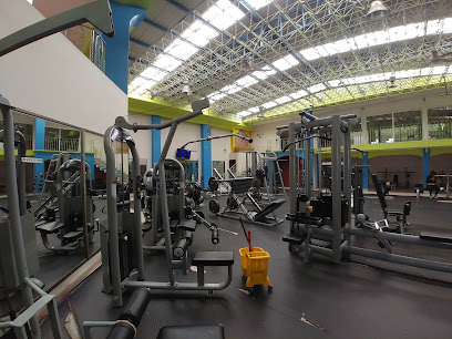 Vital Fitness Gym & Oaxaca - Cjon. La Paz 509, California, 68150 Oaxaca de Juárez, Oax., Mexico